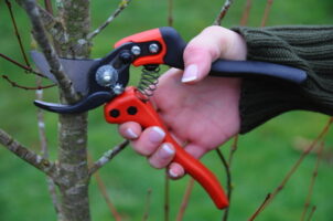 Bahco ergonomic pruners