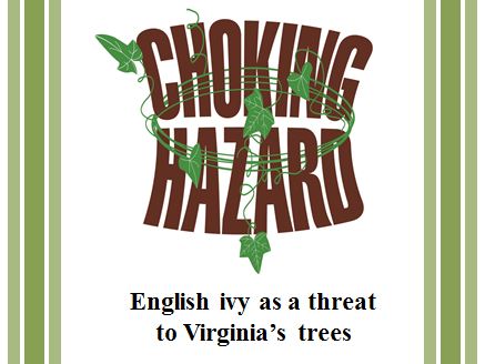 choking hazard - English ivy as a threat to Virginia's trees