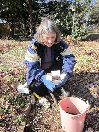Mary Frase digging soil samples in February.