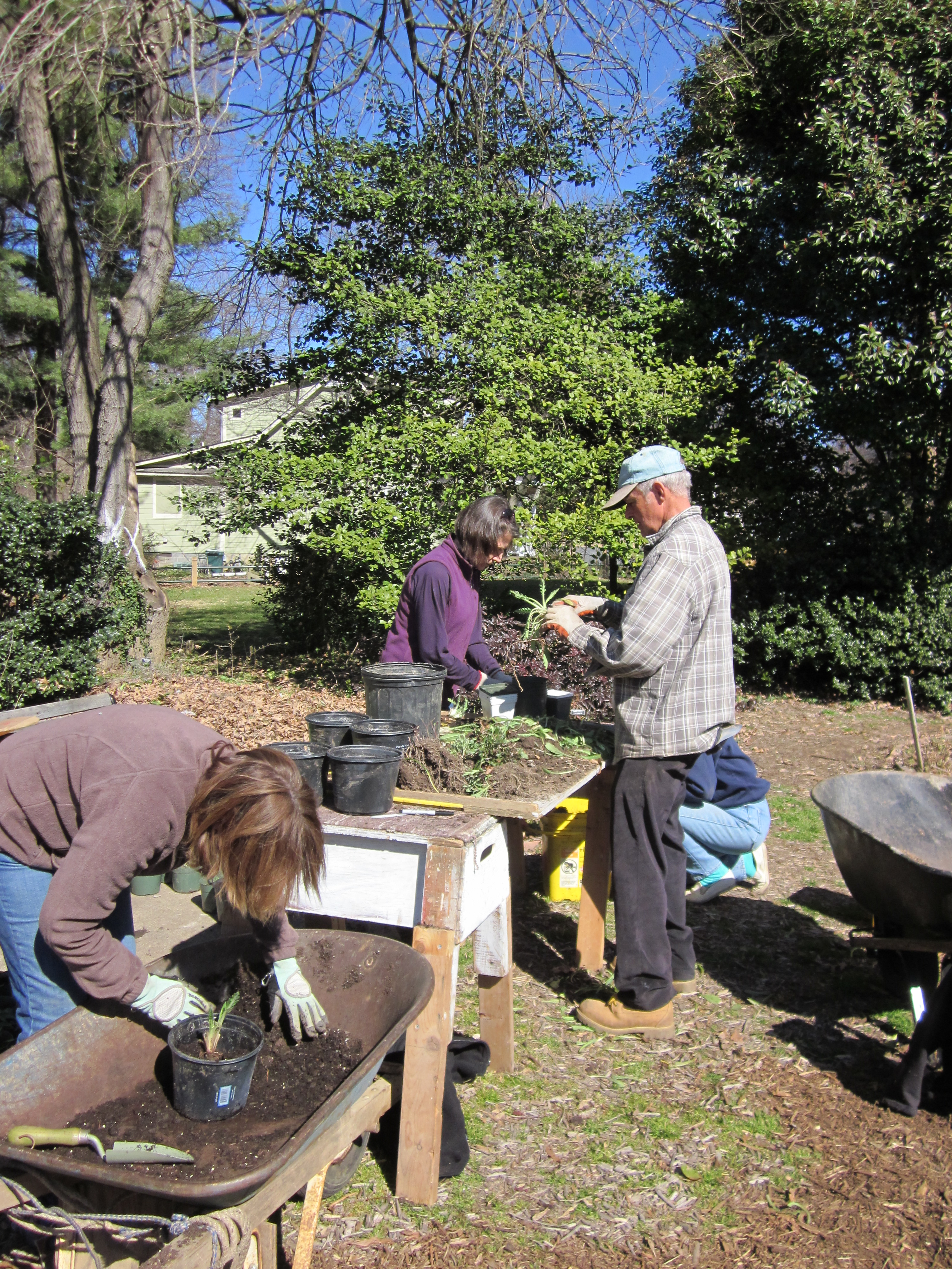 Paul Lund leads a team of Master Gardeners and interns in a propagation work party in March