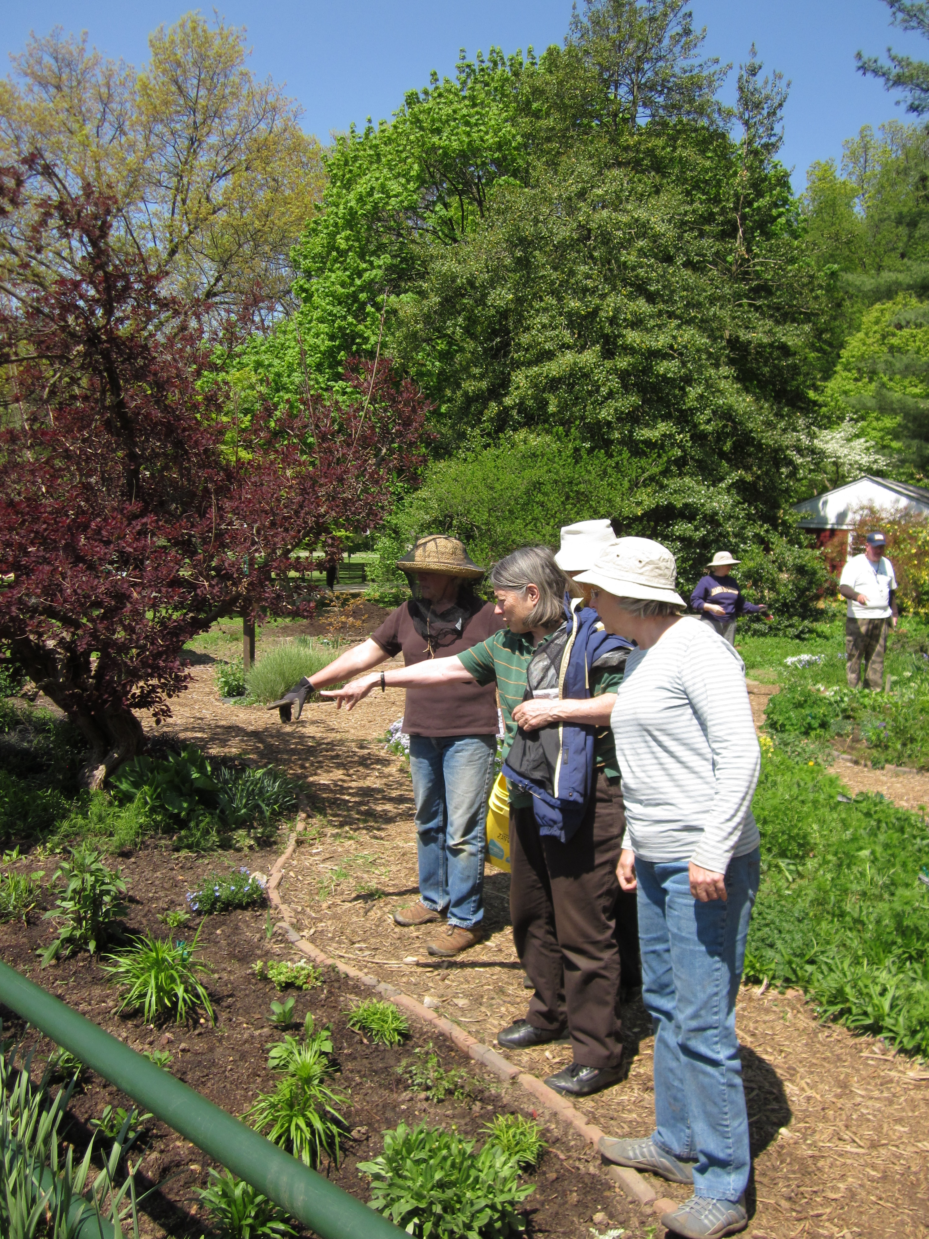 Alex Dickman (in brown shirt) explains her plant choices for Bed 7 to interns Mary Frase and Liz Pittleman in April