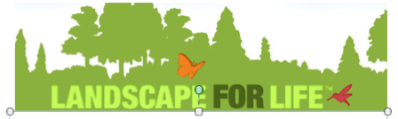 L4L logo