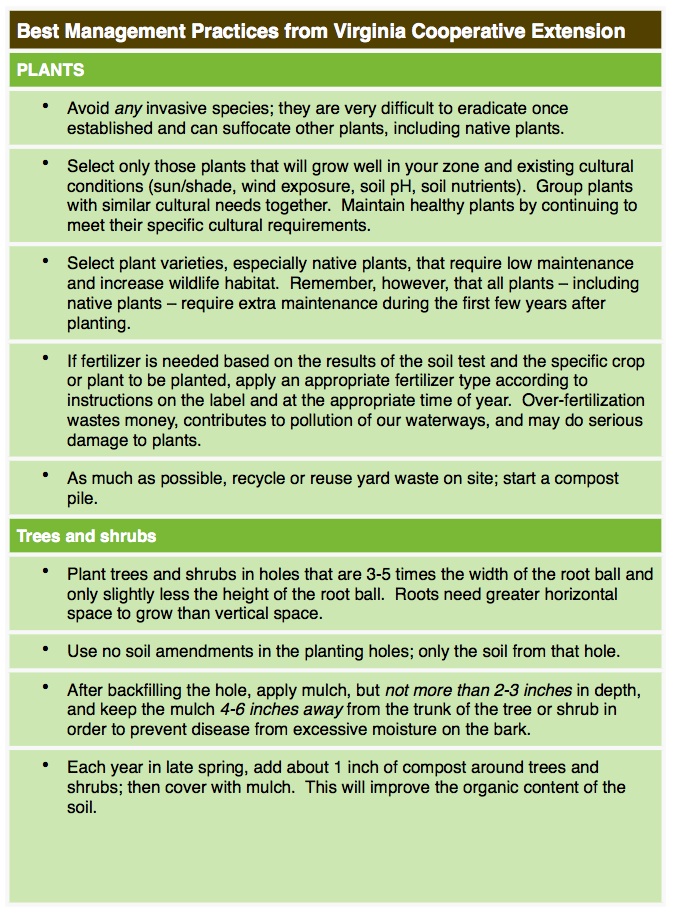 Plants and Materials 2