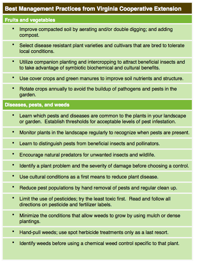 Plants and Materials 3