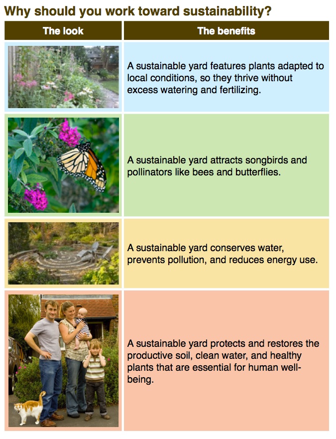 Sustainability basics 1