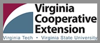 VCE logo