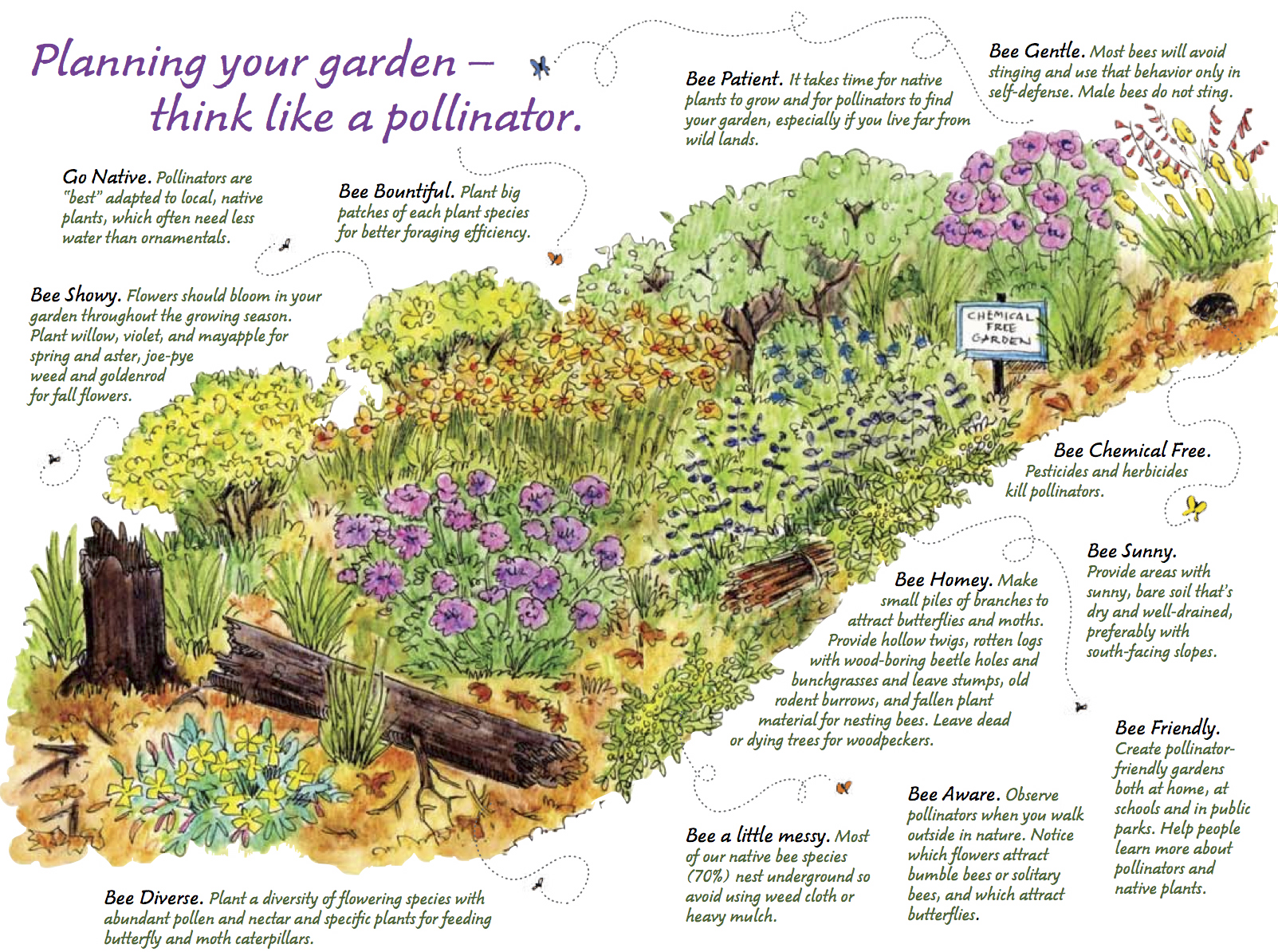 Planning Your Garden - Think like a pollinator