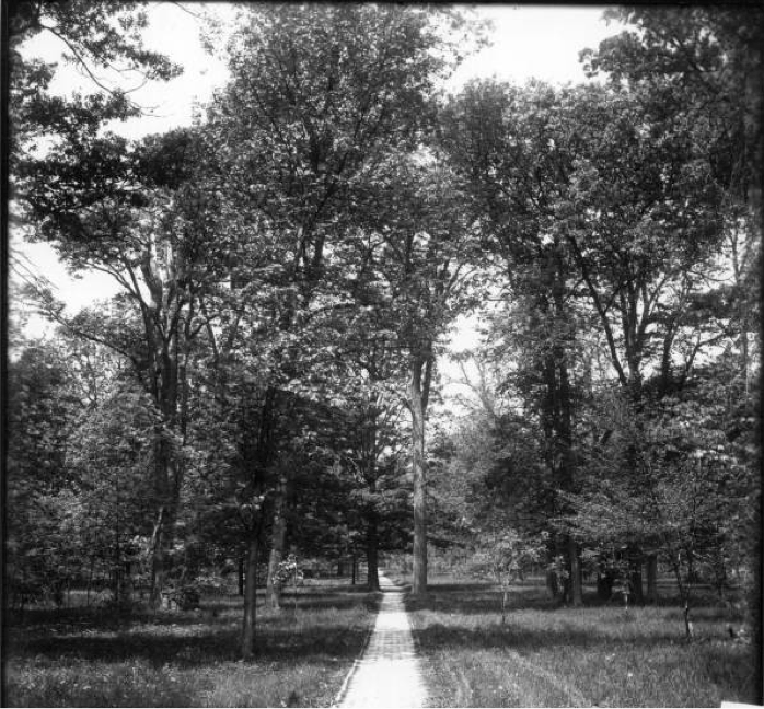 Bishops Woods in the early 20th century at Miami University, Oxford. OH.
