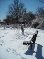 Simpson garden bench in March 2015. Photo © Christa Watters