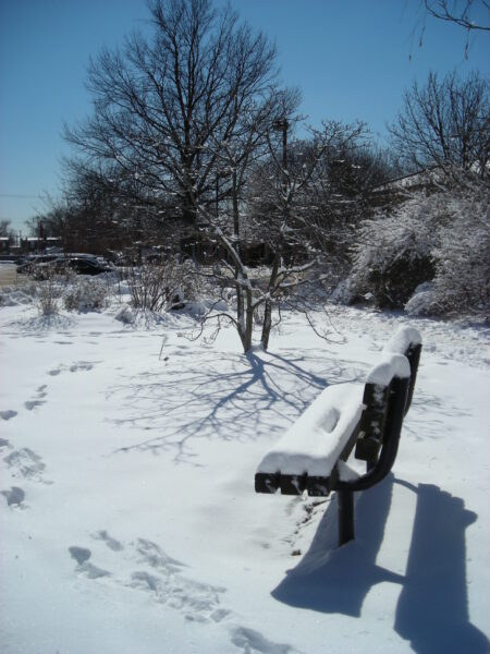 Simpson garden bench in March 2015. Photo © Christa Watters