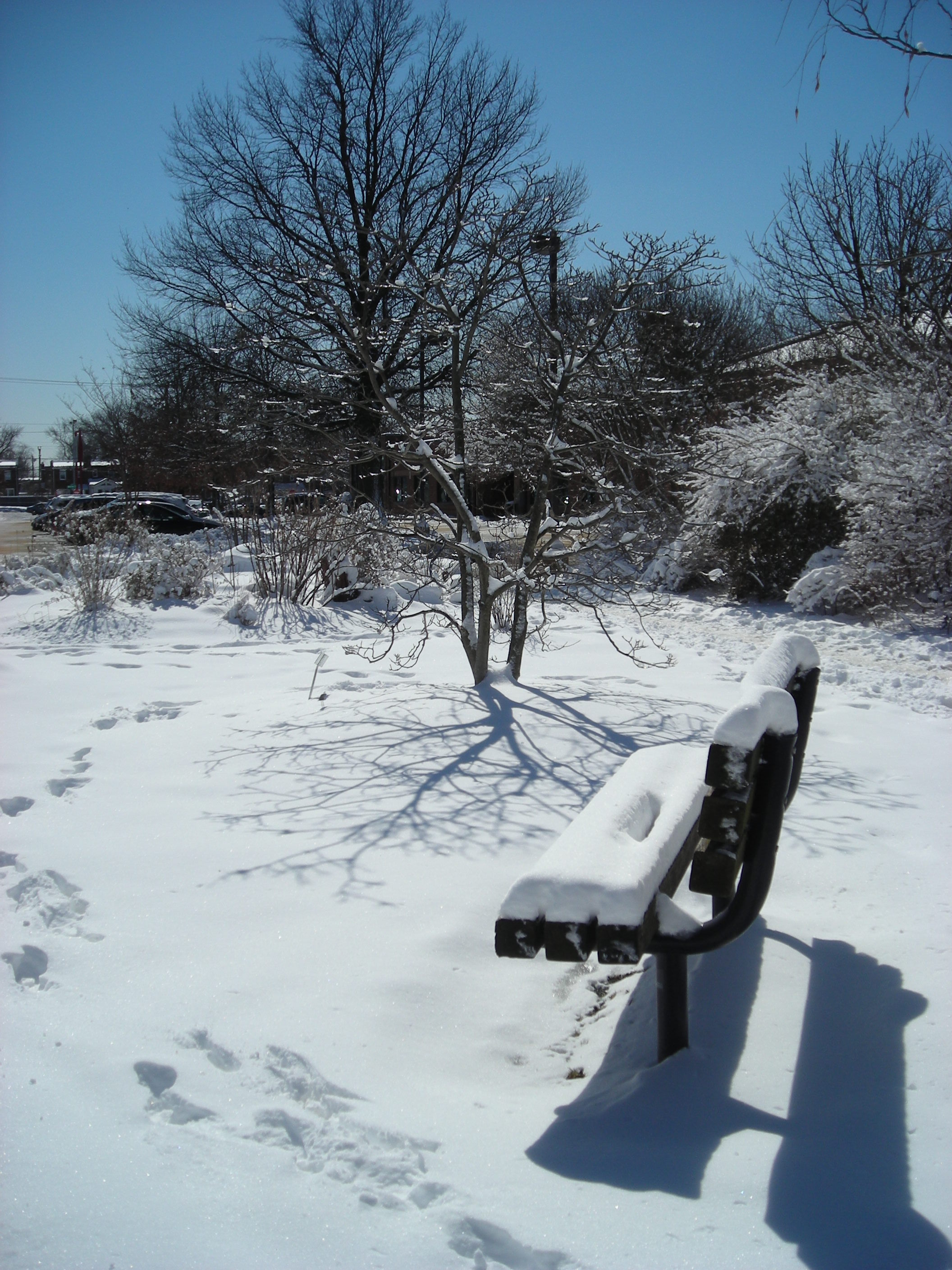 Simpson garden bench in March 2015. Photo © Christa Watters
