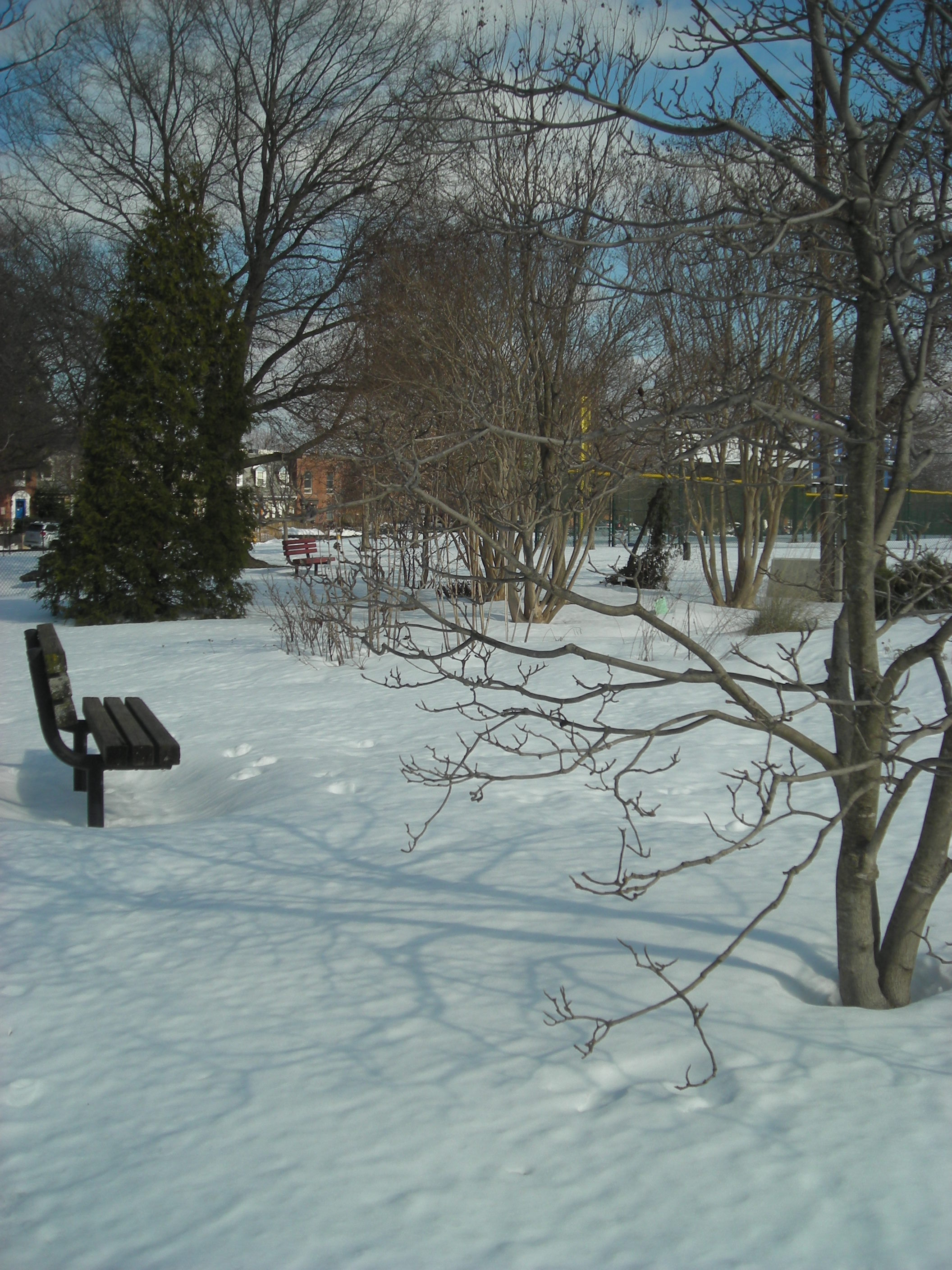 WinterHushSimpson