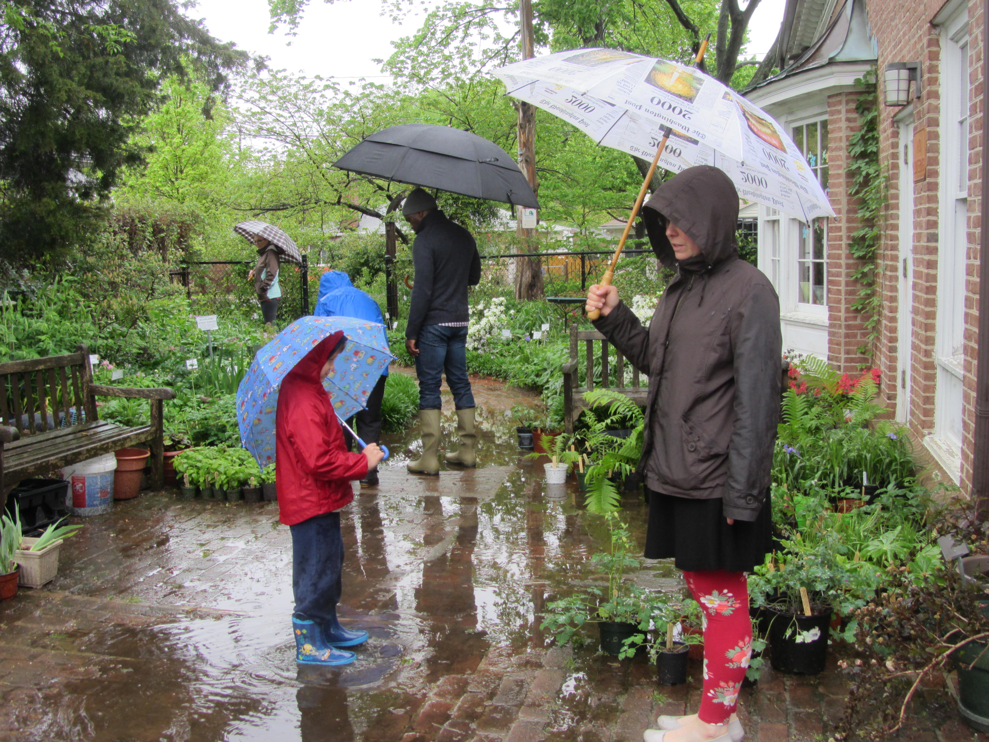 Plants and Puddles at Glencarlyn Library Sale