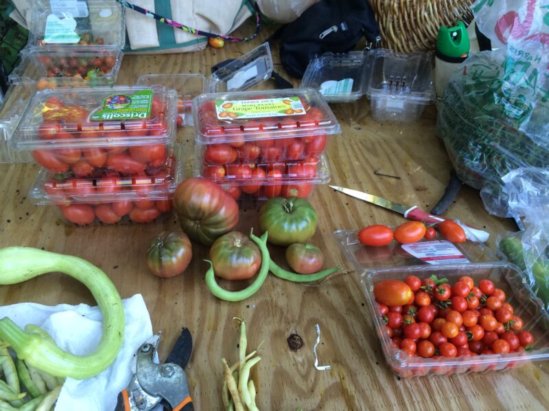Vegetables Ready for AFAC