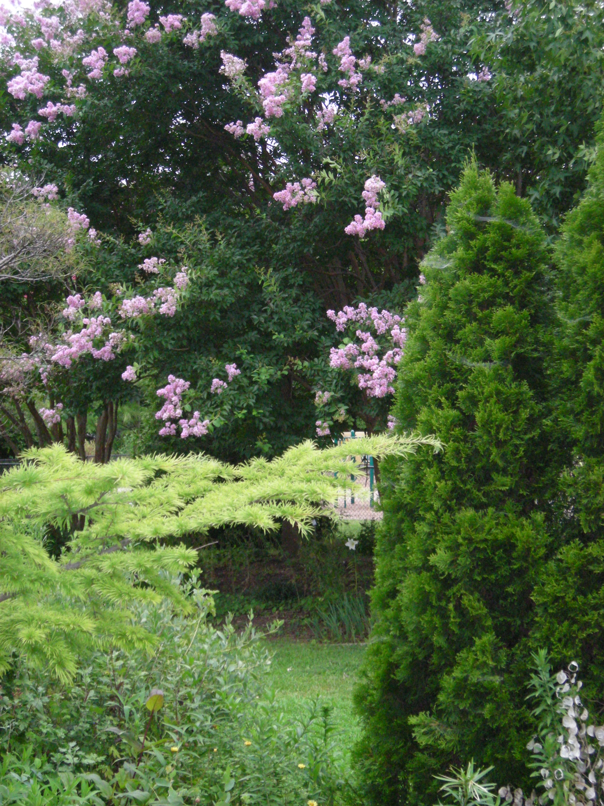 Garden Design