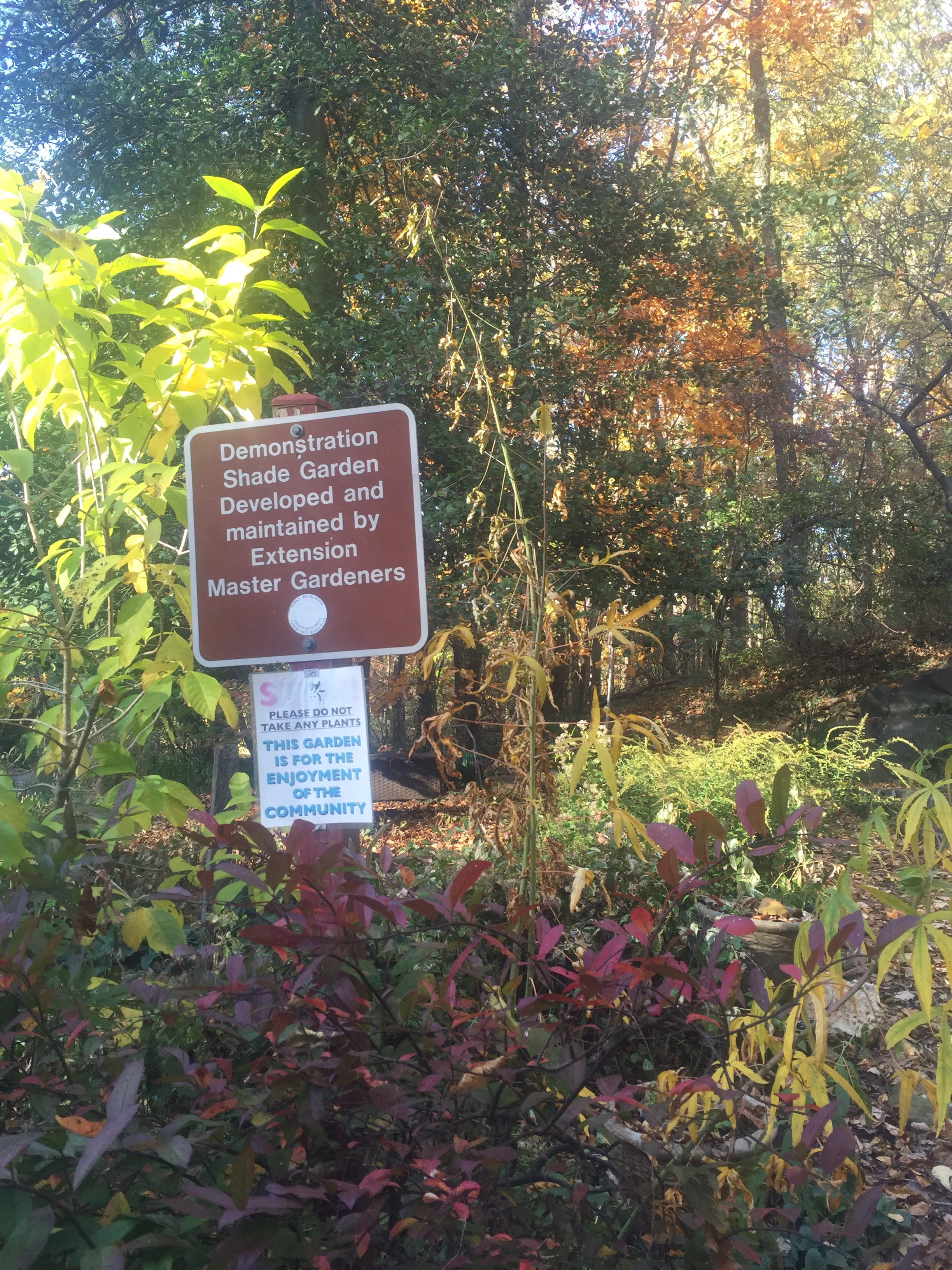 Shade Garden Entrance