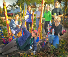 Banana Stalk Artists