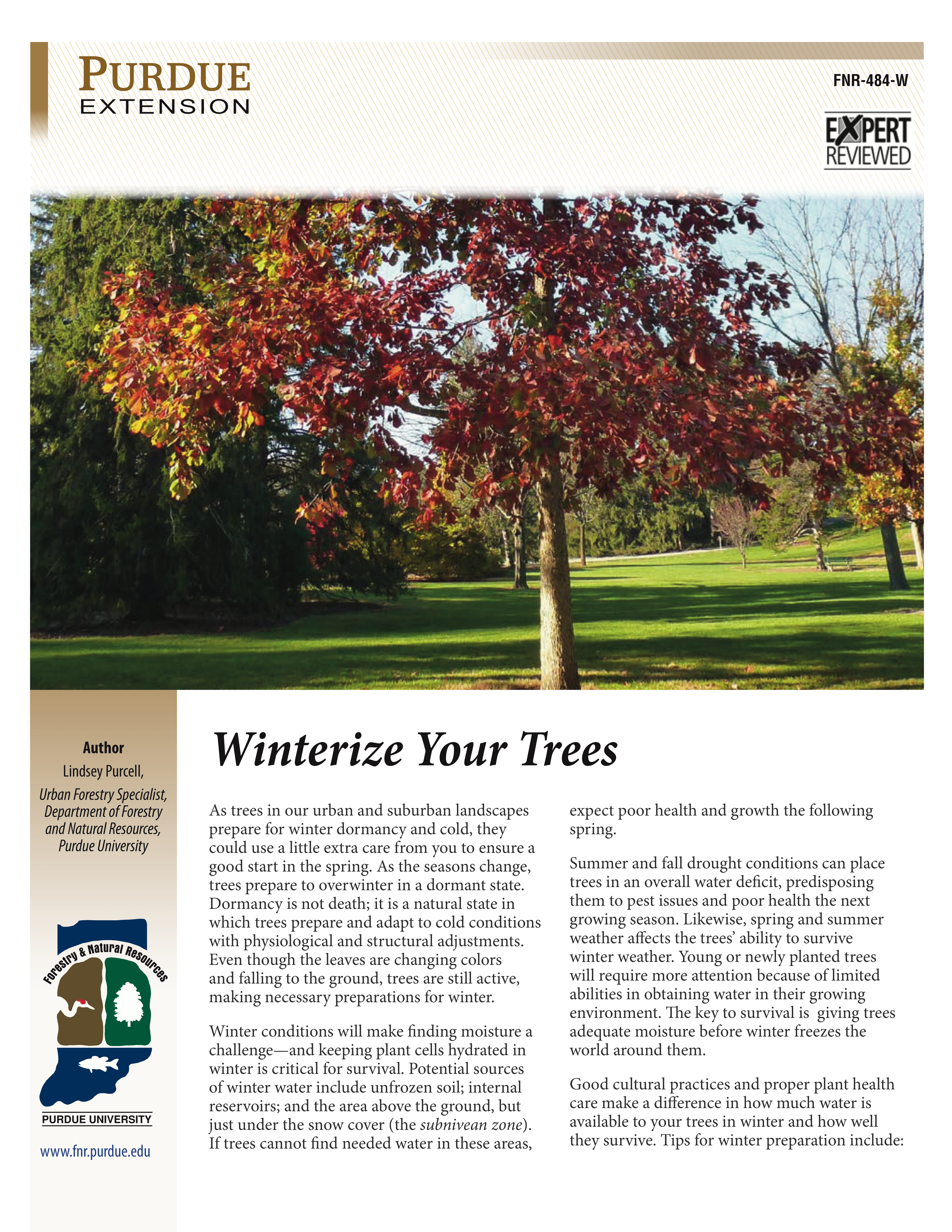 Winterize Your Trees