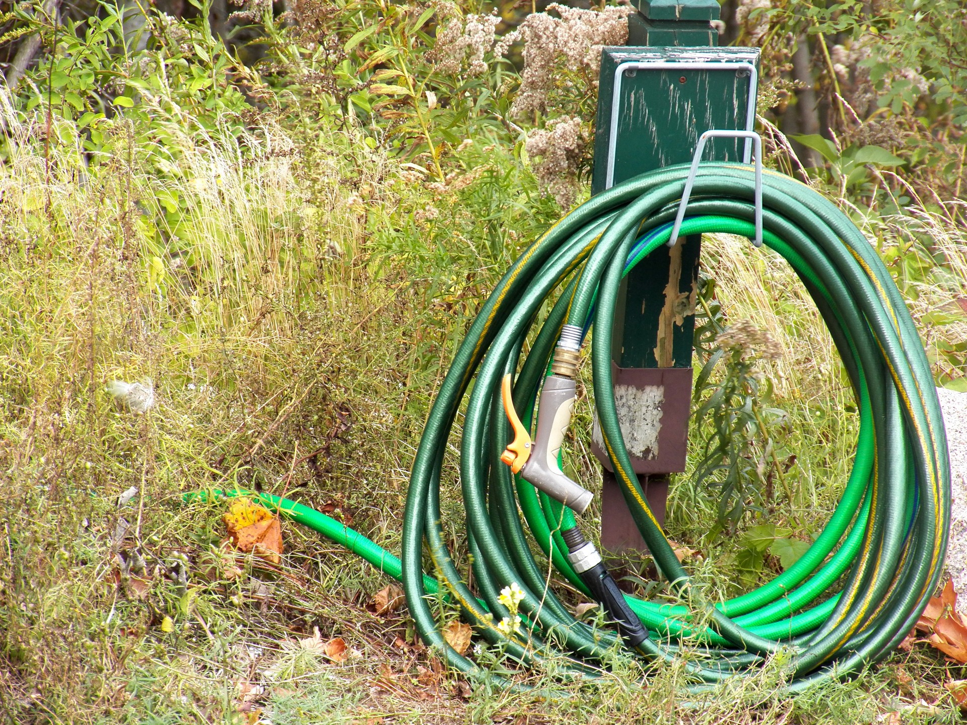 Garden Hose