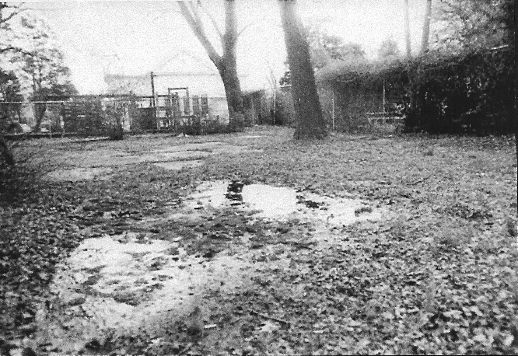 Garden before 1999