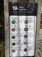 One of the garden’s lists of recommended native plants