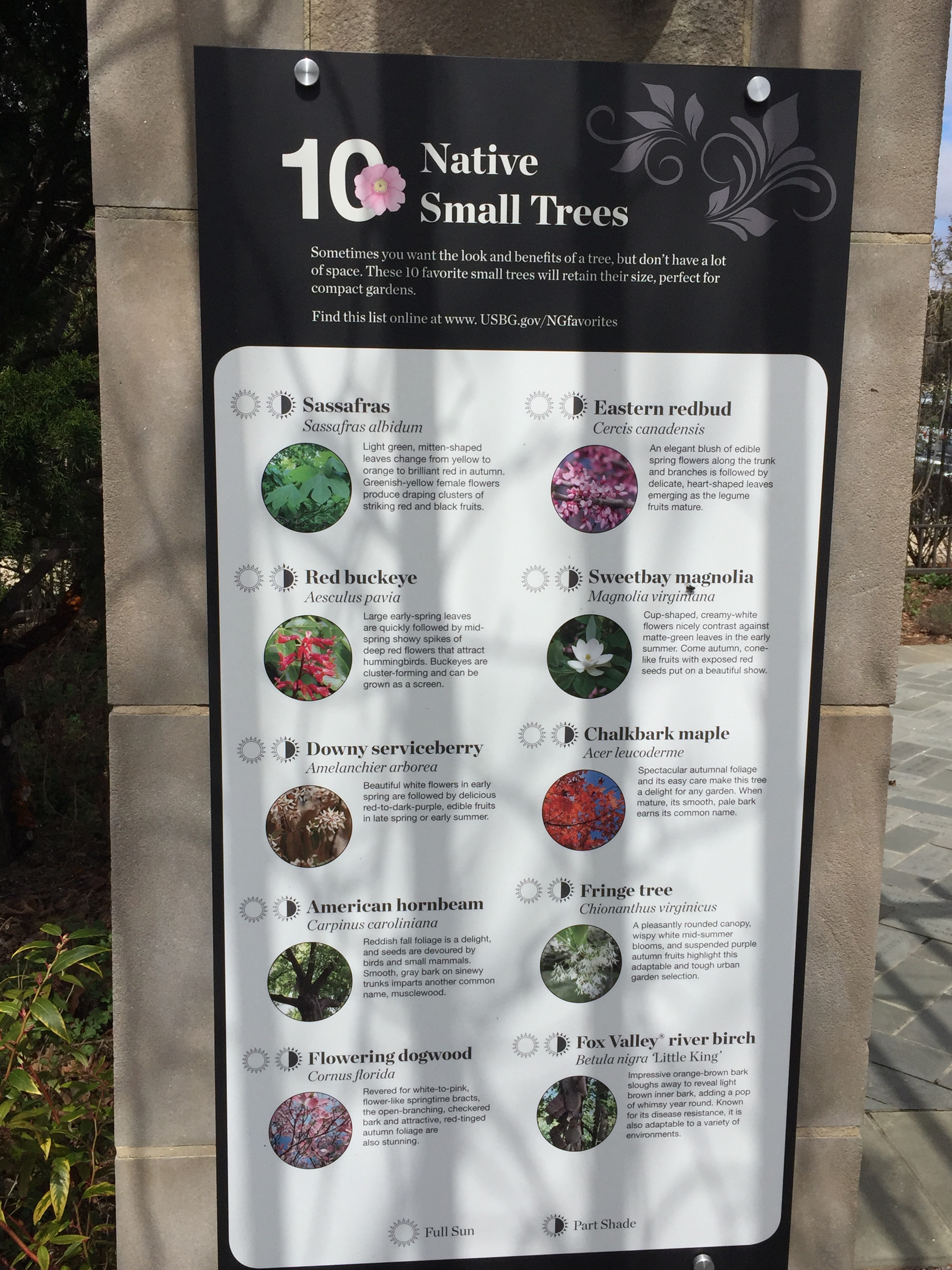 One of the garden’s lists of recommended native plants