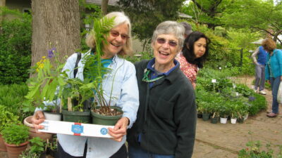 At the Plant Sale