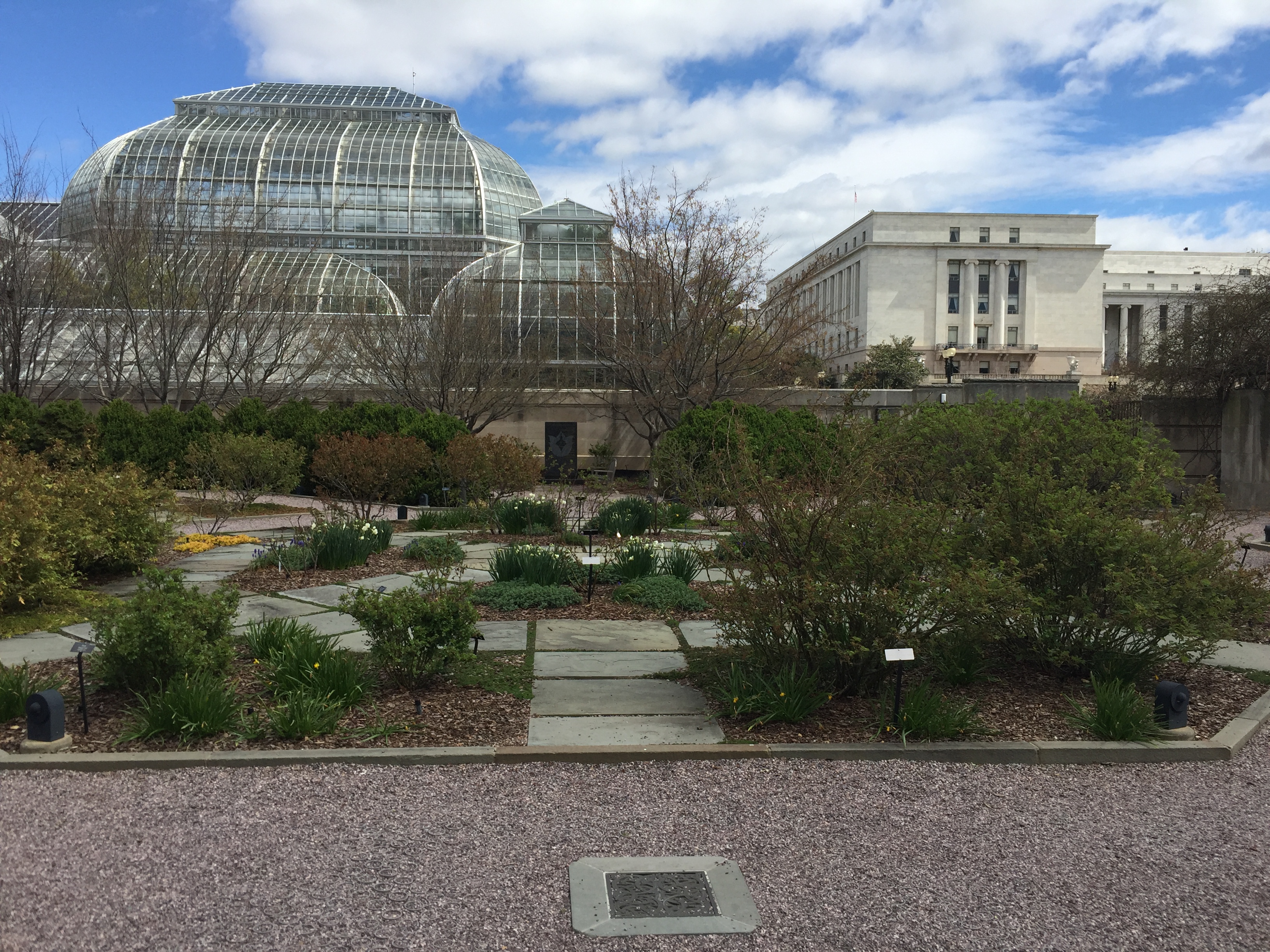 Octagonal beds of the Margaret Hagedorn Rose Garden with the Botanic Garden conservatory beyond