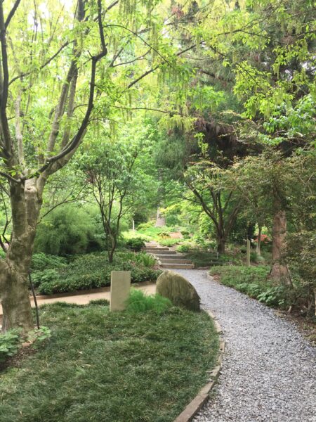 Peaceful paths through the Asian Collections
