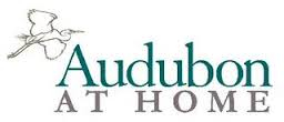Audubon at home