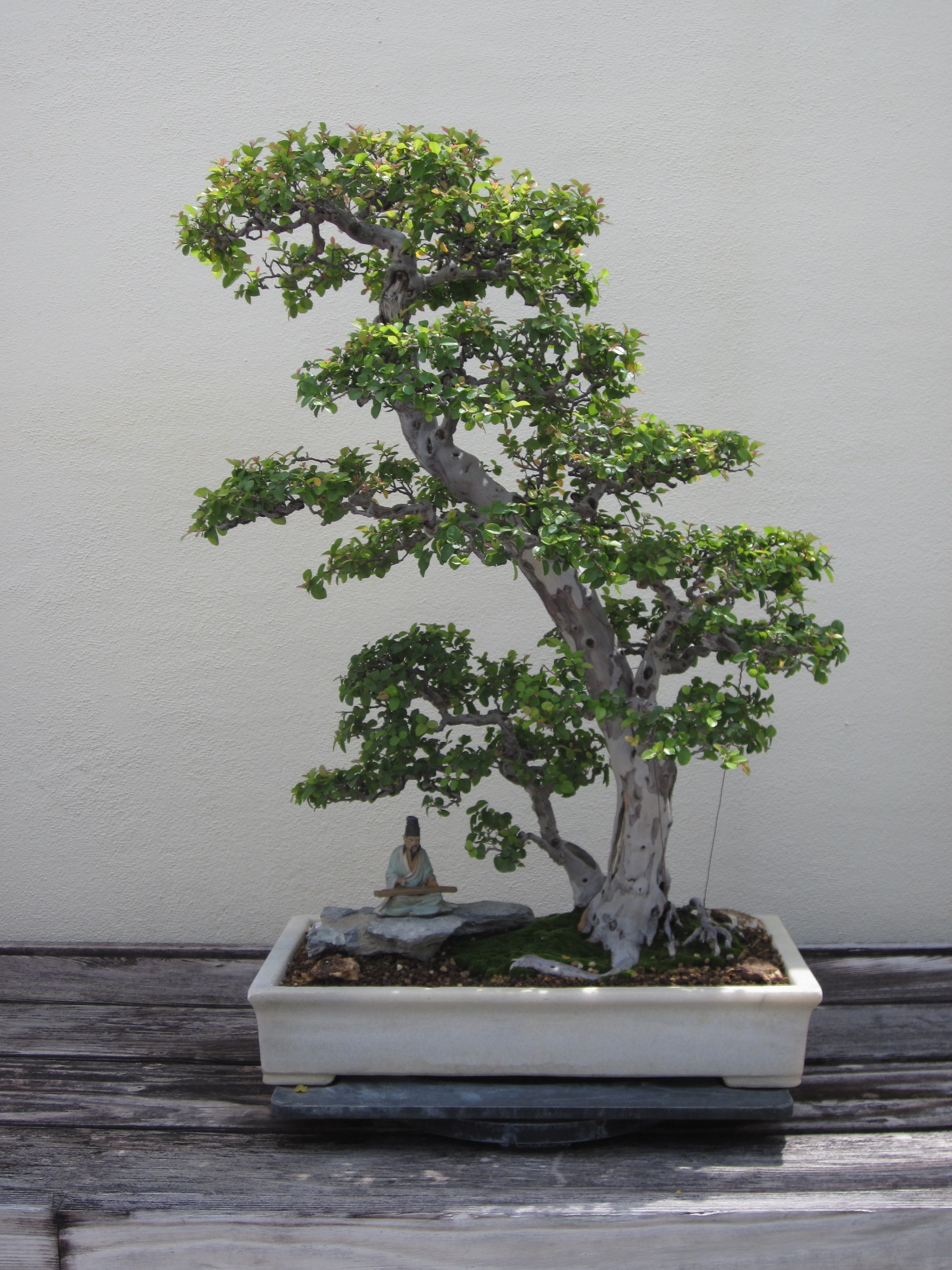 Example of penjing