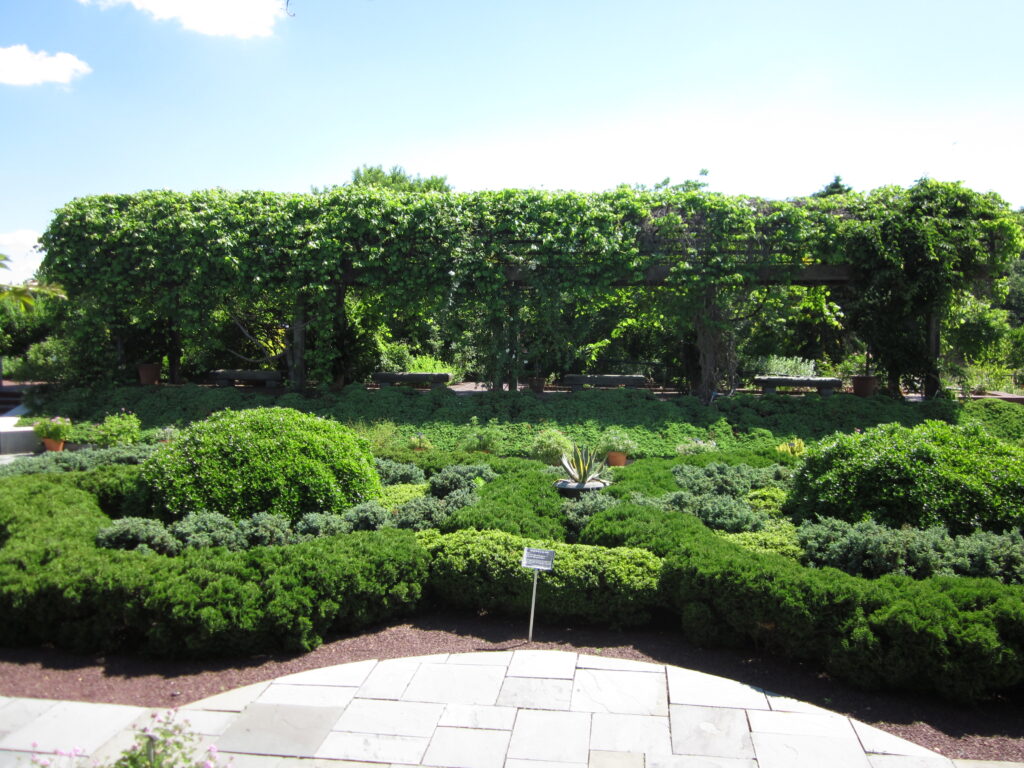 The knot garden and rose arbor in the Herb Garden