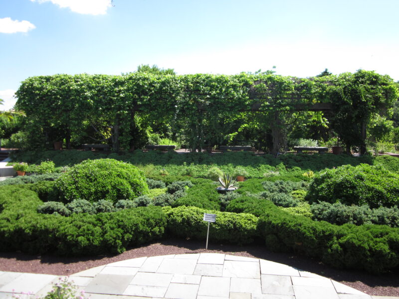 The knot garden and rose arbor in the Herb Garden