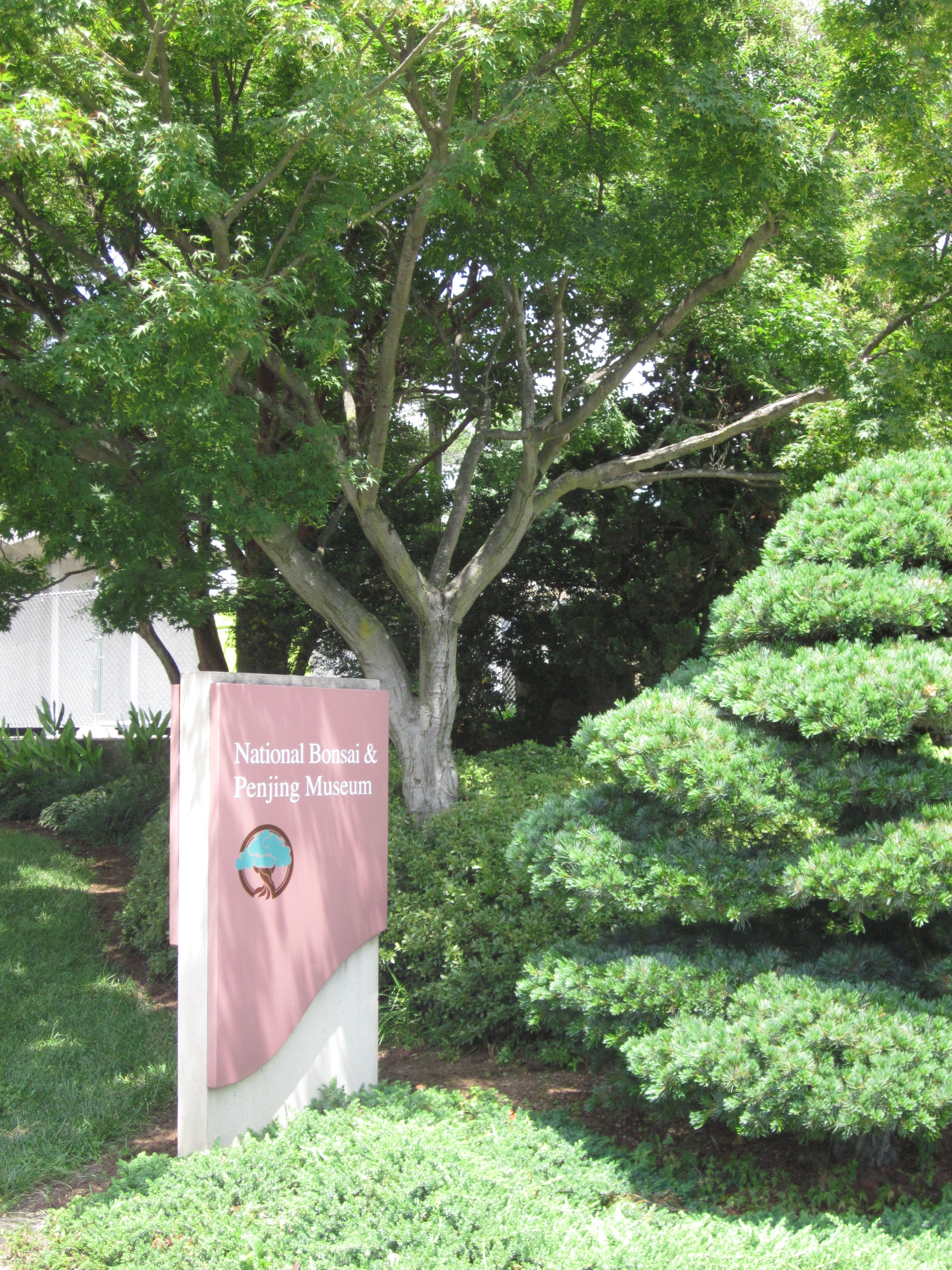 Museum sign at the National Bonsai and Penjing Museum