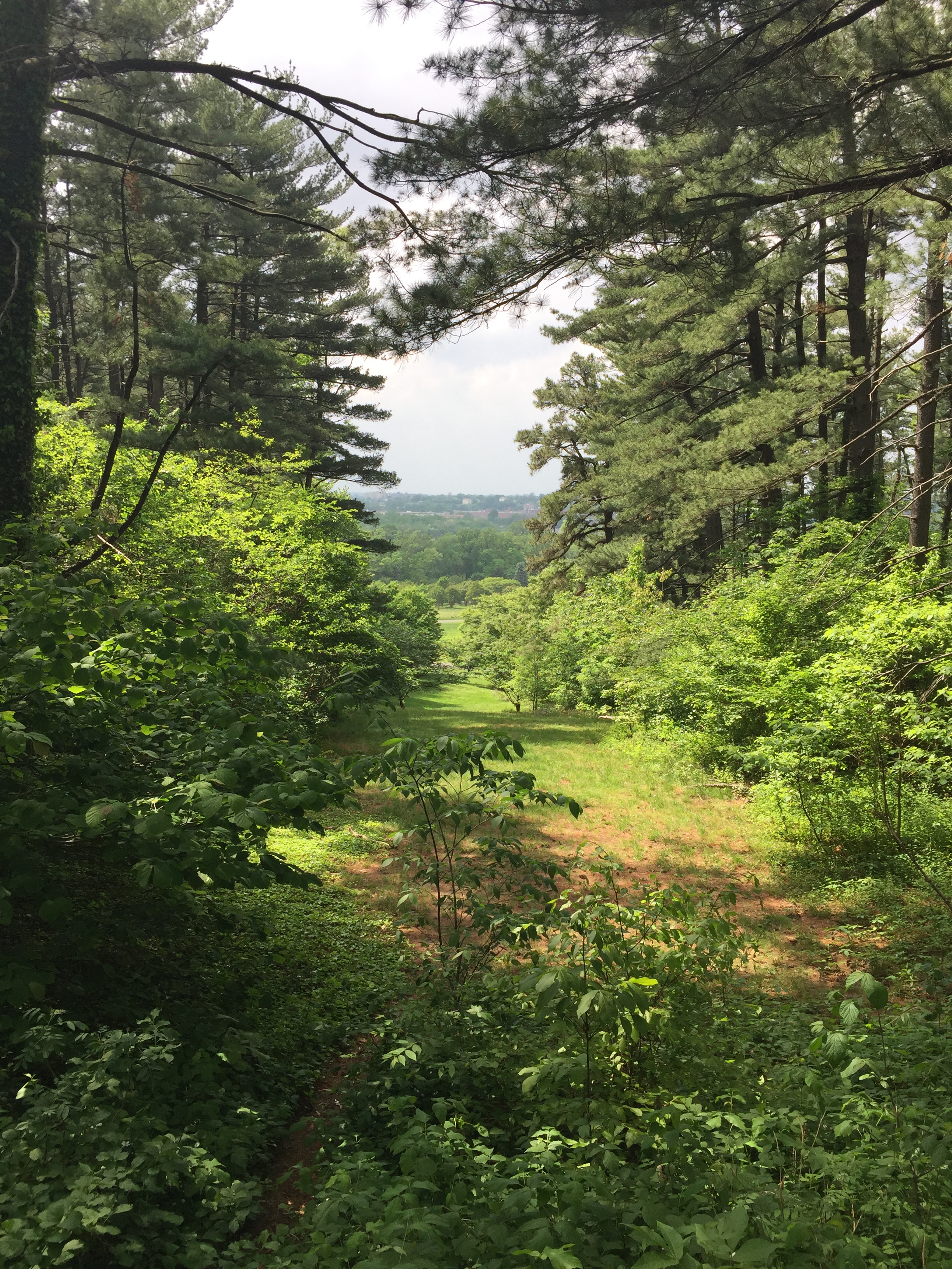 Various overlooks from high points in the Arboretum provide panoramic views of the city.
