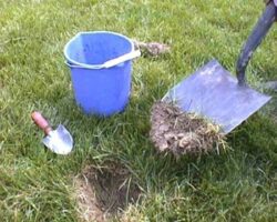 Bucket with spade and soil dug up for soil test