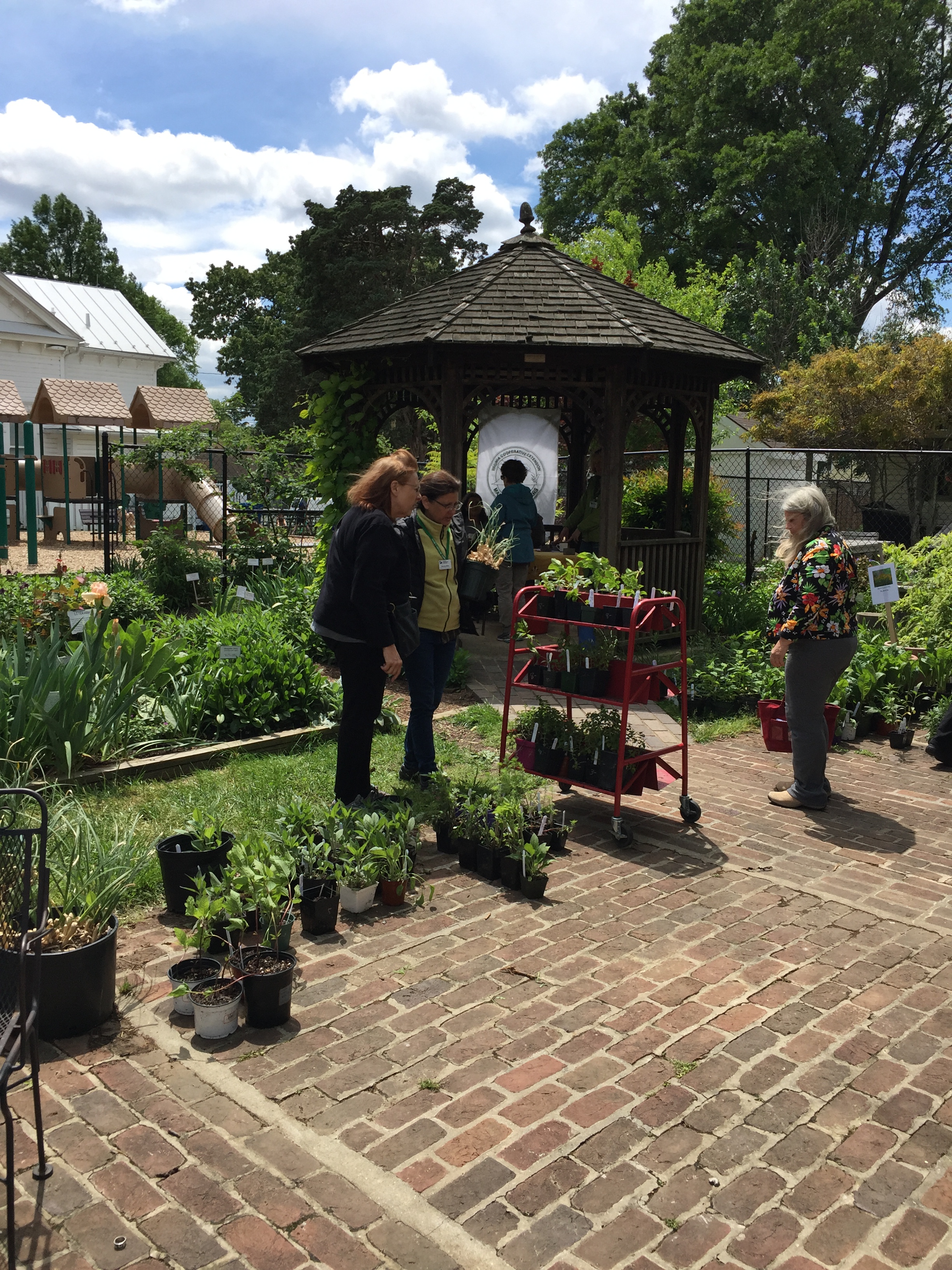 Garden coordinator Wendy Mills recommends herbs grown in the library garden