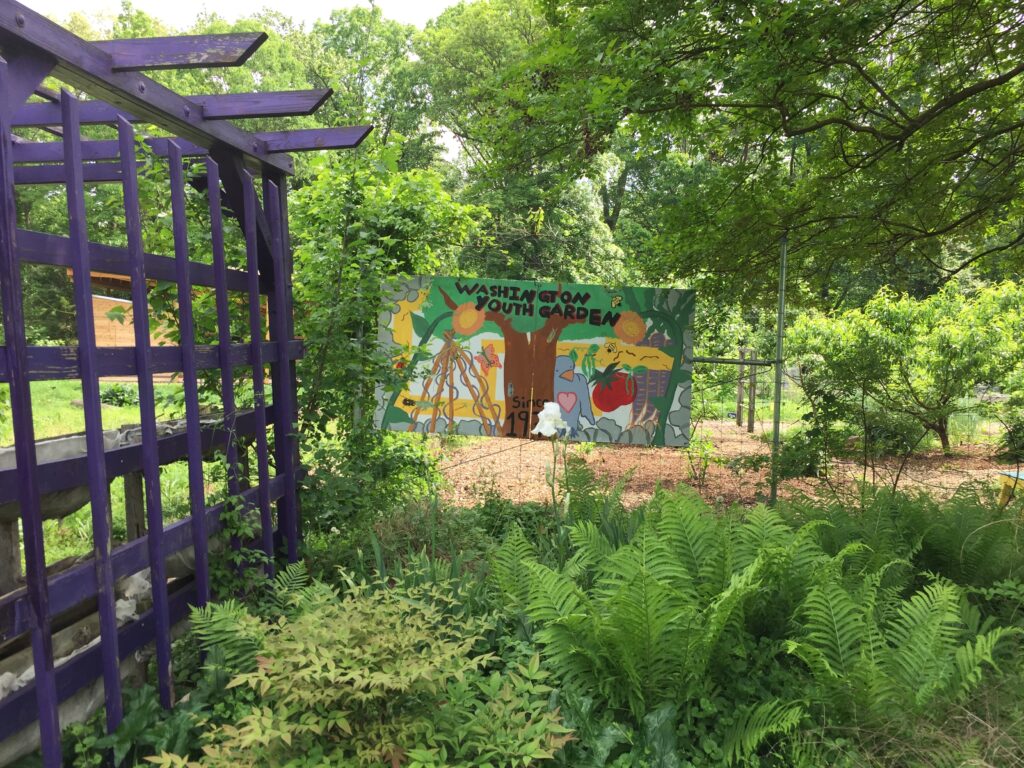 The entrance to the organic Youth Garden