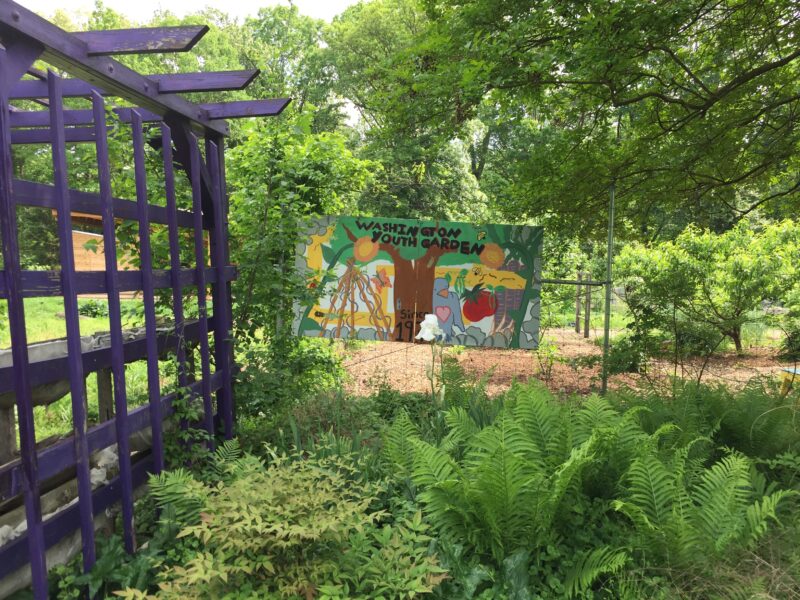 The entrance to the organic Youth Garden