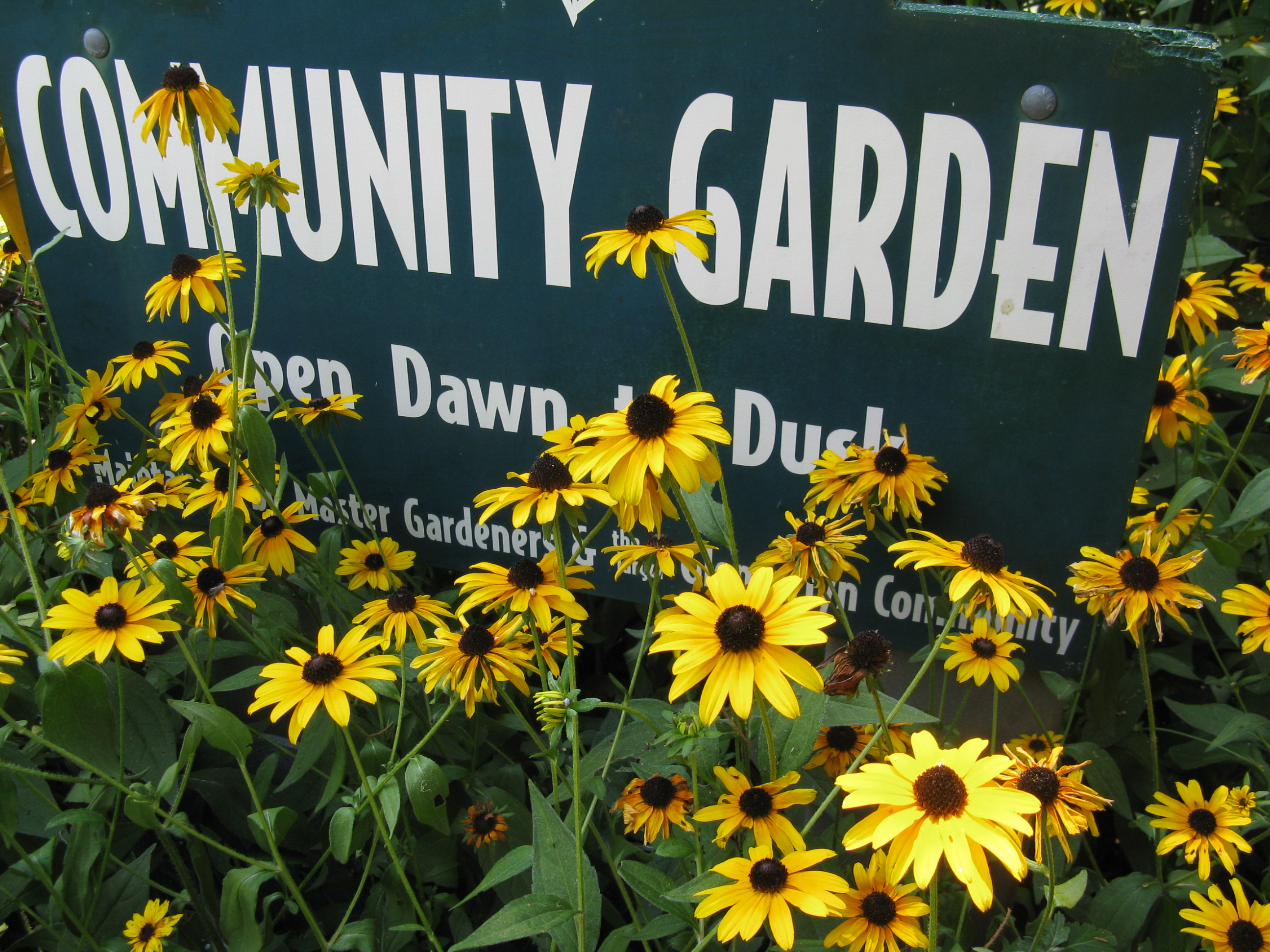 Community Garden sign at Glencarlyn