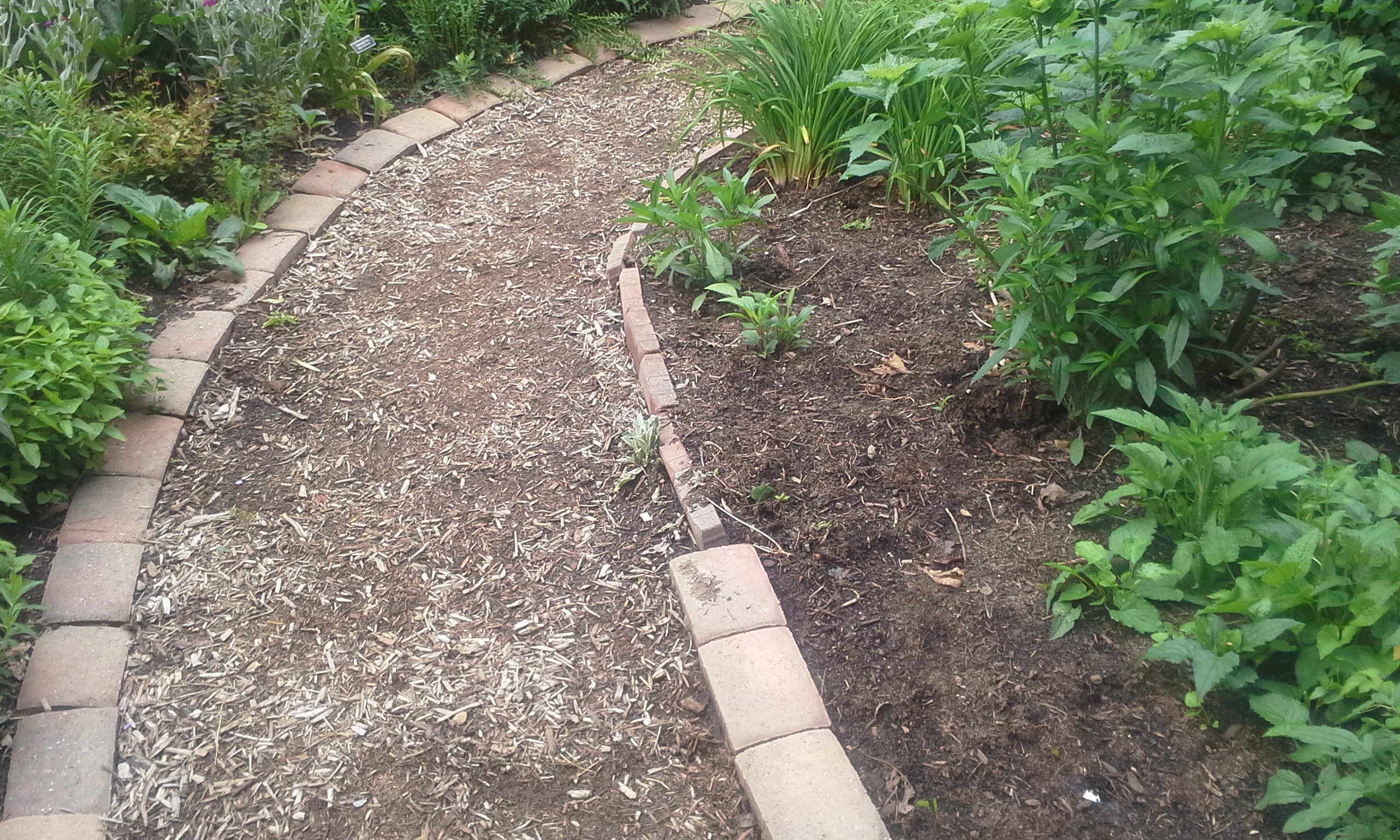 Edge stones turned to create path border