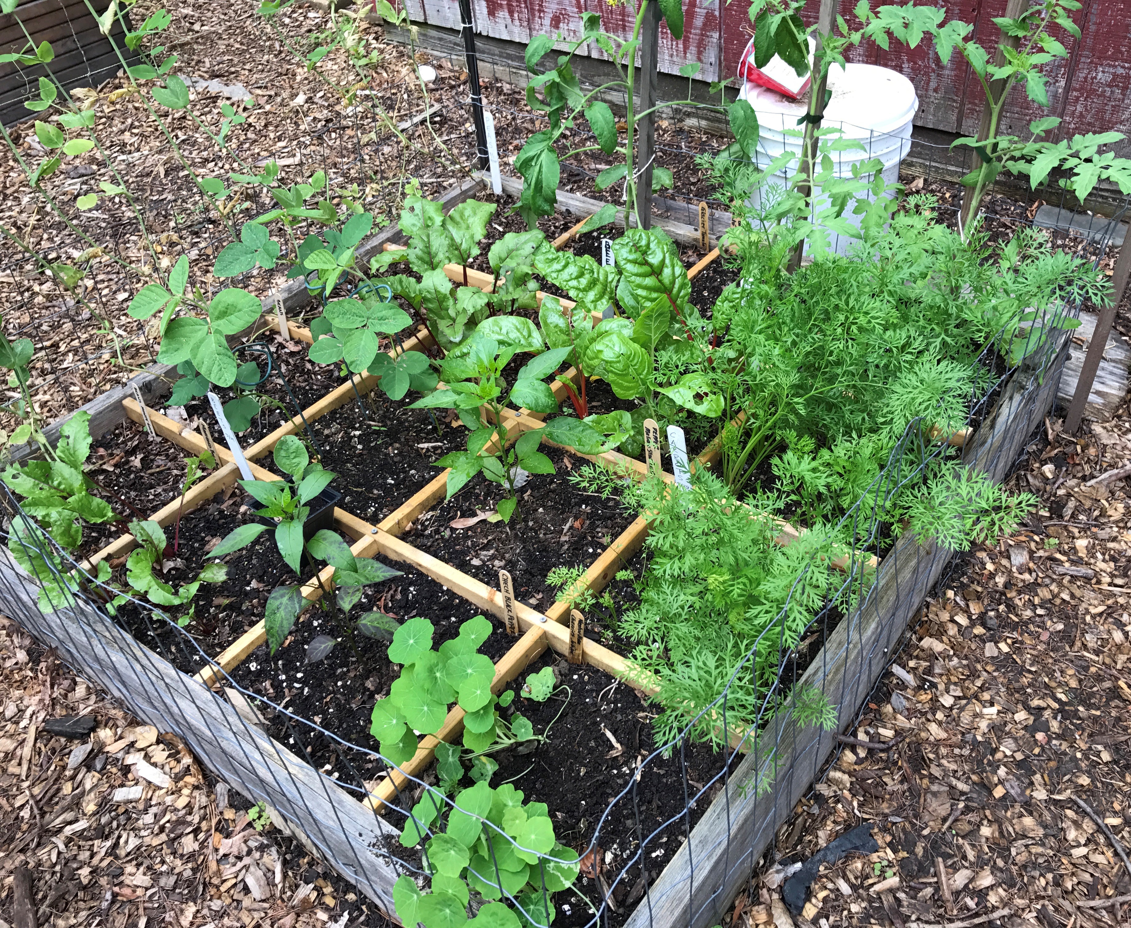 Square Foot Garden