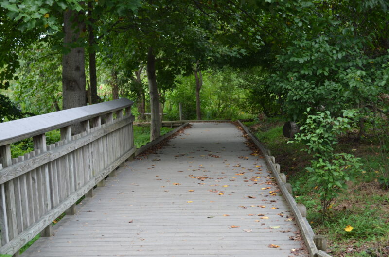 Boardwalk trail through the marsh