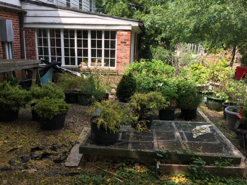 Nursery Area