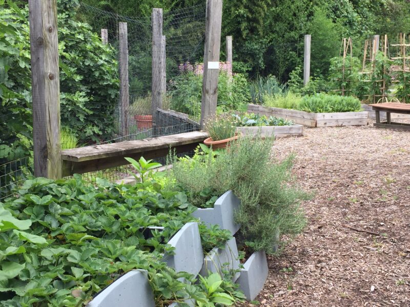 Teaching and demonstration garden