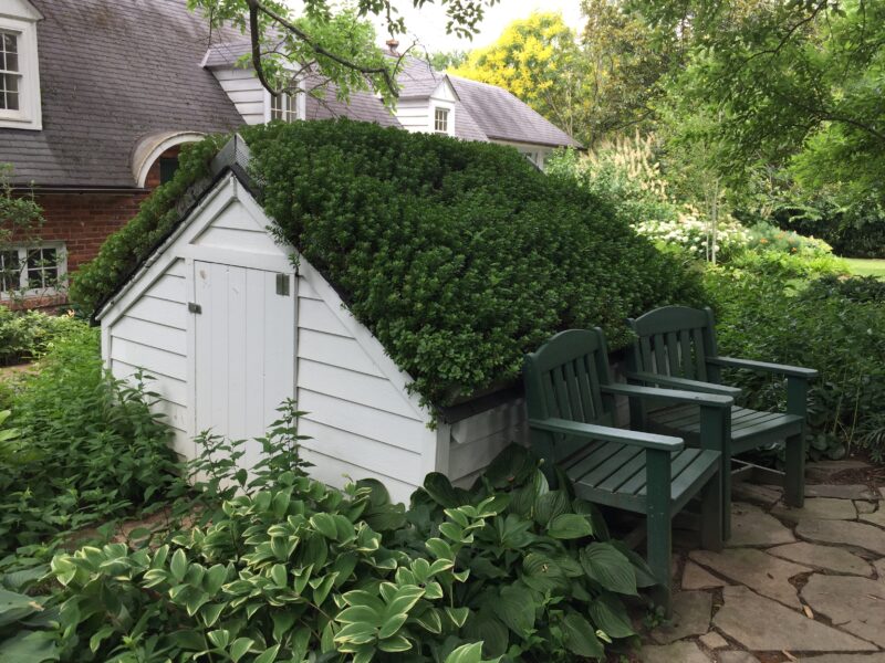 Shed with Green Roof