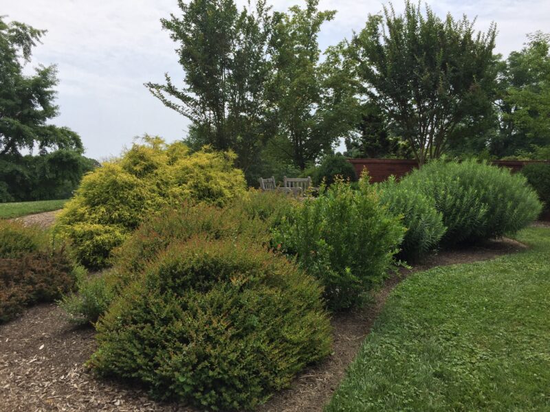 Perennial Beds