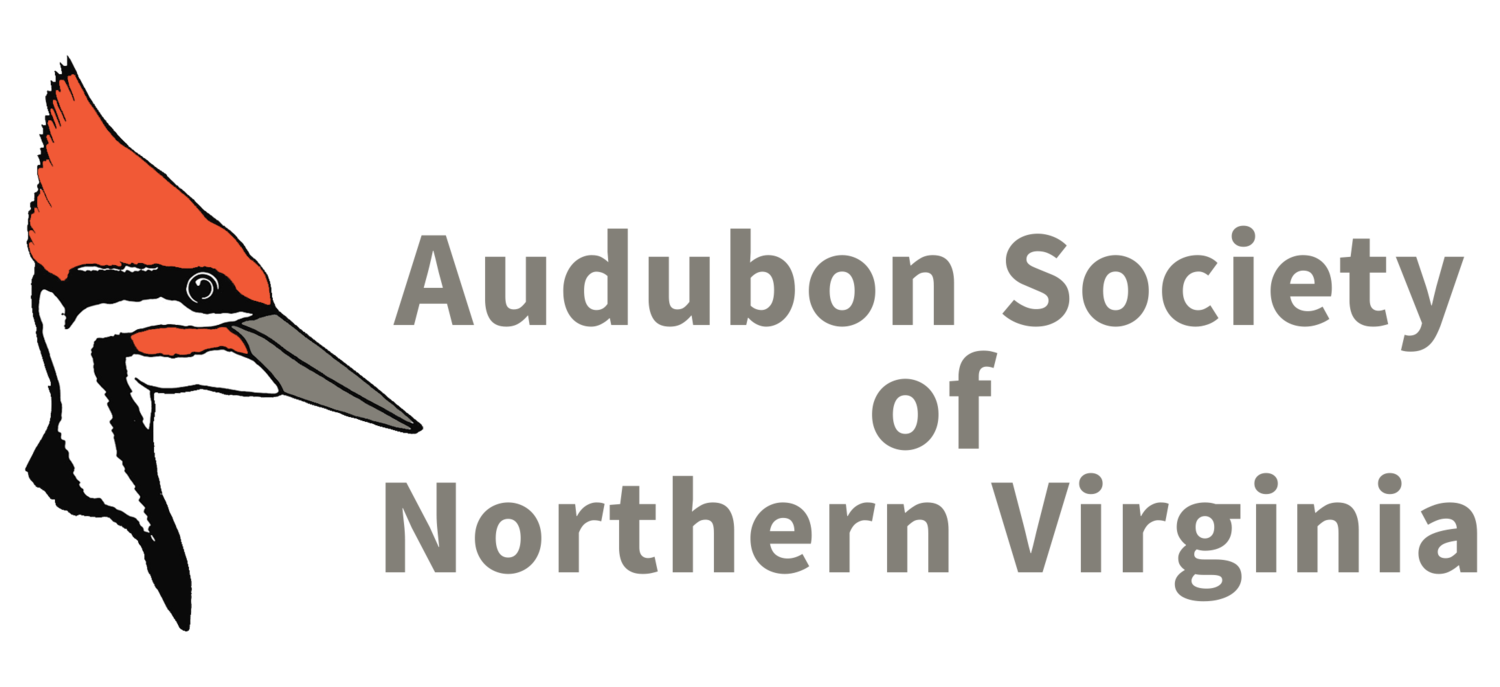 Audubon Sociey of Northern Virignia