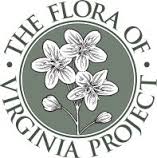 Flora of Virginia Project Logo