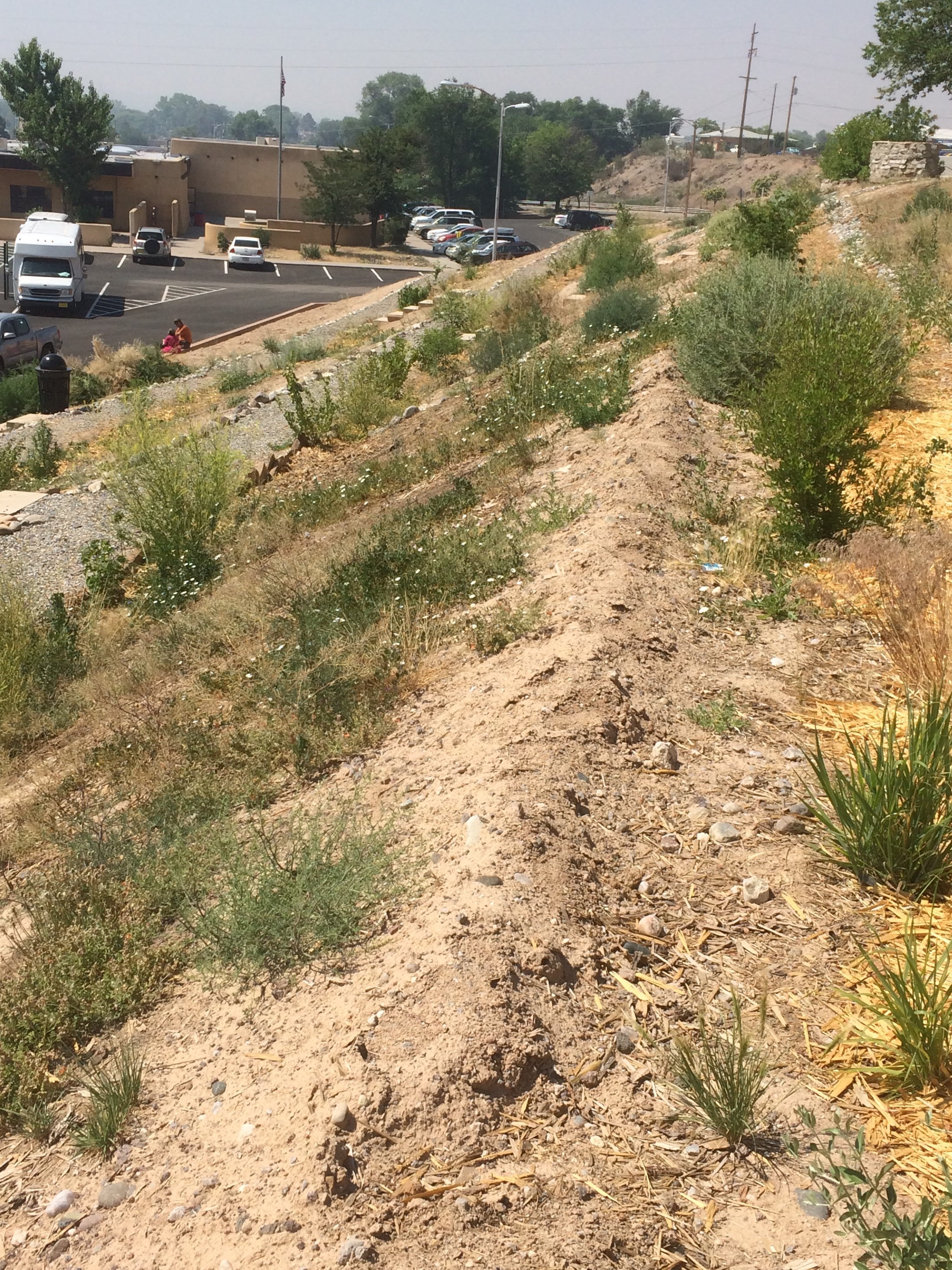 View of the Healing Foods Oasis from mid-slope. Plans are in the works to add arm rails and signage in Year 2. 